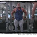 더 바벨 이미지