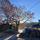 봉당 티스토리