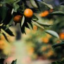 현대교통㈜ 이미지