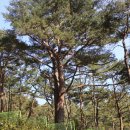 공주목욕탕 이미지