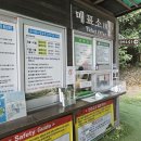 곶자왈 | 제주 아이와 함께 산책하기 좋은 곶자왈 후기
