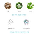 바디픽스 이미지