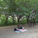 성당배수장 이미지
