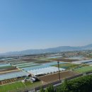 김해탑공인중개사사무소 이미지