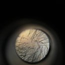 내서읍702 이미지