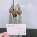 플라워리데이 이미지