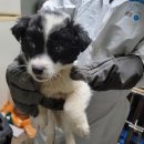 신장로90번길 이미지