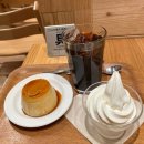 FM소프트 | 도쿄 우에노 숨은 푸딩 맛집,무지카페 현지인 바글바글 후기