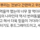 스푼풀코리아 이미지