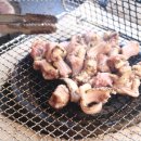 바다산곰장어 네이버블로그
