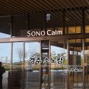 마루어린이집차량(2대) | 경주 소노캄 리조트 프리미어 스위트 레이크 2박 후기 조식 셰프스키친 담음 부대시설 총정리