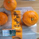 규리농장 이미지