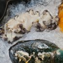 제주순풍신제주본점 | 제주 맛집 추천 제주공항 근처 술집 '수미일관 신제주본점' 솔직 후기