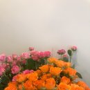 양덕동140 이미지