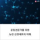 더뉴런 이미지
