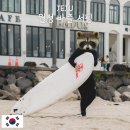 제주월정리웨이브서핑 | 월정리 서핑 강습 제주 바즐서핑 & 패들보드 대여 체험 후기
