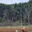 정성농장 | 가치 있고 정성이 가득한 봄빛농장 이용 후기