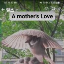 장어만(鰻) 이미지