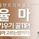 율마 잎마름 갈변되기 전에 가지치기 물주기로 응급처방 중 이미지