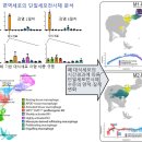 "코로나로 손상된 사람 폐 모습..끔찍" 어떻게 공격하나 봤더니 이미지