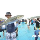 파도 넘어 희망으로 이미지