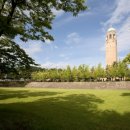 대전과학기술대학교 이미지