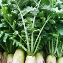 혜은농장 이미지