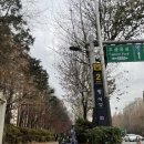 리추얼37(Ritual37)