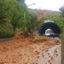 태풍카센타 이미지