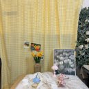 아름다울, 개 이미지