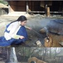 심소헌 카카오 검색결과