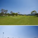 신창기업(주)발리오스컨트리클럽(회원제) 이미지