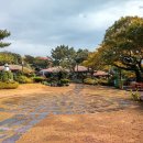 제주도 정착 리얼후기 (자급, 이주, 체험)