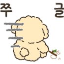 율무네애견 이미지