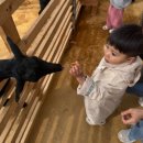 부천목장 이미지