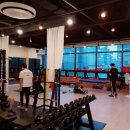 초심피티 이미지