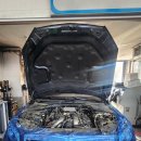 애니카랜드 정왕점 이미지