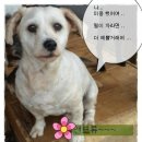 양지말길민박 이미지