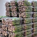 마리네 농장 이미지