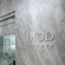 우현주 | [압구정로데오 메이크업 후기] 디오드 청담본점, 가봉 메이크업/ 우현주 부원장, 우니 팀장 후기