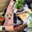 스타힐링센터 이미지