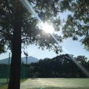 금정체육공원_축구장 이미지