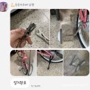 자란다 태권도장 | 여섯살 지유니의 성장 기록