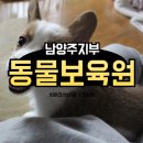 동물보육원 용인지부 이미지