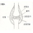 제402호 1984년 2월1일 발행 이미지