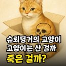 오옹