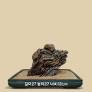 발돋움 - 금천구 서부샛길 606 | 발돋움