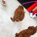 남창원동물병원 이미지