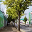 호원한신아파트 ~ 두산아파트 이미지