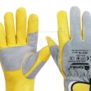 창신농장 이미지